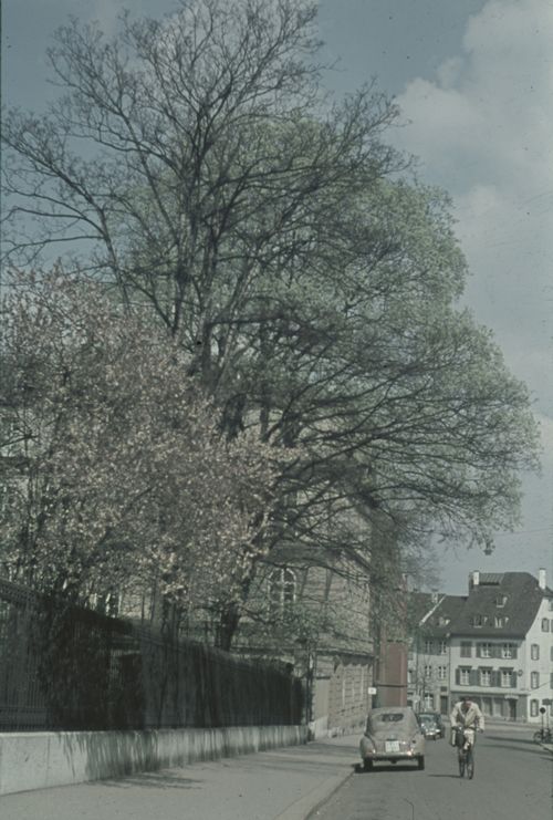 Fotografie, Basel, Petersgraben gegen Totentanz