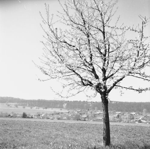 Fotografie, Landschaft