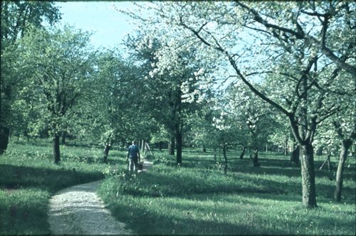 Fotografie, Arboldswil