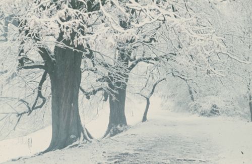 Fotografie, Buus, Winter beim Farnsburg-Hof