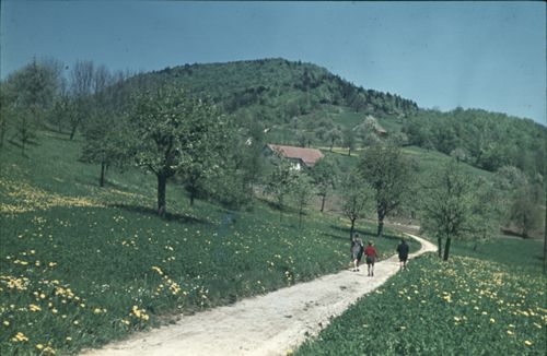Fotografie, Gelterkinden, Homberg-Höfe