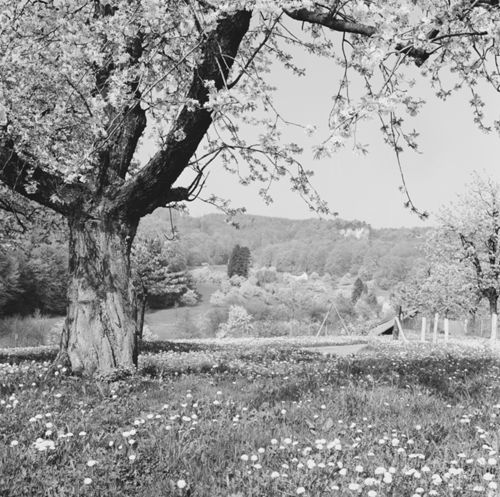 Fotografie, Frenkendorf, Schauenburgerfluh