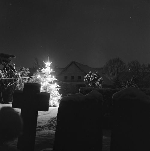Fotografie, Liestal, Friedhof im Winter