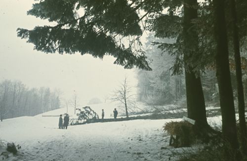 Fotografie, Beim Farnsburghof, Bank am Waldrand