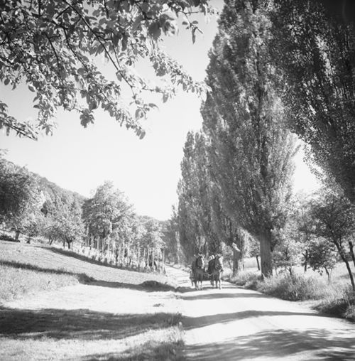 Fotografie, Wintersingen, Strasse nach Magden