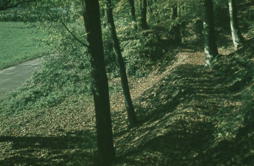 Fotografie, Liestal, Oristal, Waldweg
