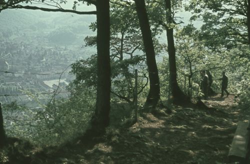 Fotografie, Liestal, Wanderweg am Schleifenberg
