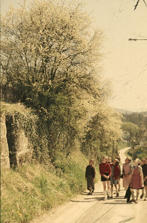 Fotografie, Liestal, Schulreise/Exkursion
