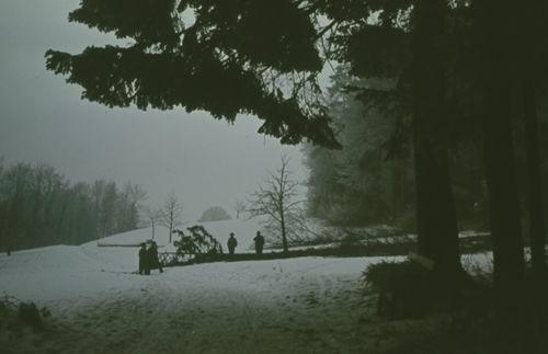 Fotografie, Beim Farnsburghof, Bank am Waldrand