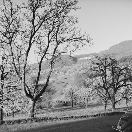 Fotografie, Frühlingslandschaft