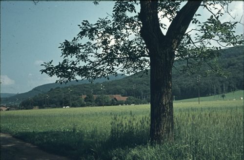 Fotografie, Pratteln, Lachmatt
