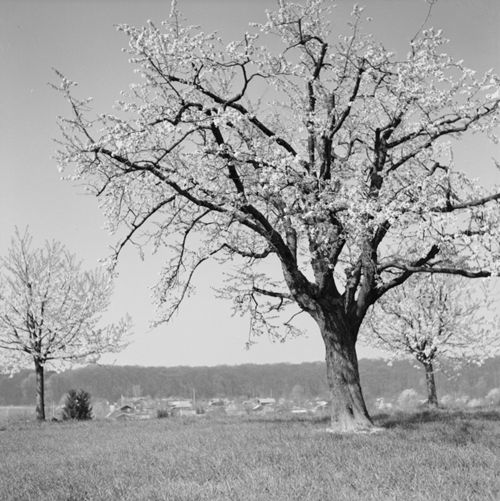 Fotografie, Landschaft
