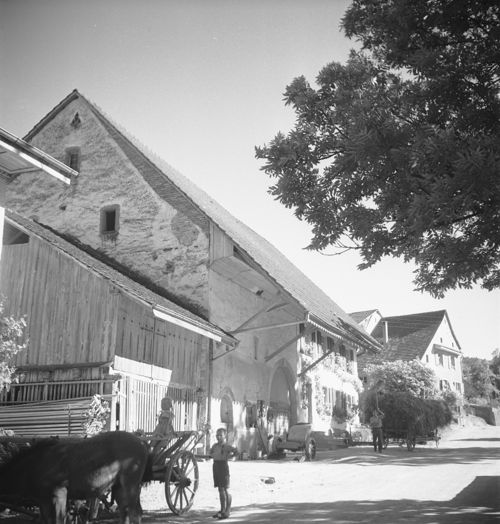 Fotografie, Wintersingen, schlecht erneuerte Dachform auf Bauernhaus