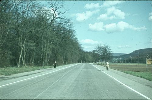 Fotografie, Muttenz/Pratteln, Hardwald, Landstrasse