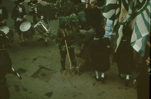 Fotografie, Basel, Vogel Gryff, Wilder Mann