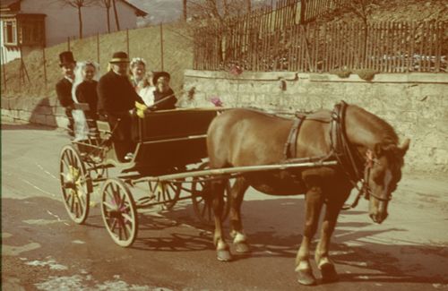 Fotografie, Biel-Benken, Fasnacht, Sujet Bauernhochzeit