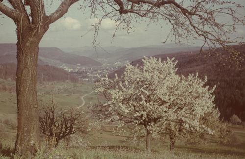 Fotografie, Liestal, Röserental