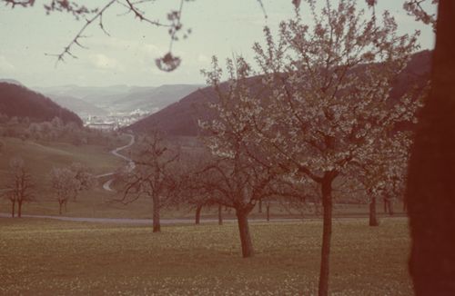 Fotografie, Liestal, Röserental