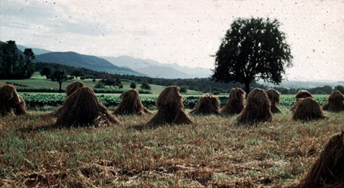 Fotografie, Kilchberg, abgeerntetes Kornfeld mit Puppen
