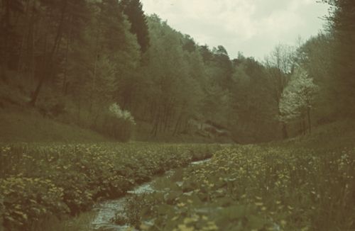 Fotografie, Liestal, Brunnenbachtal