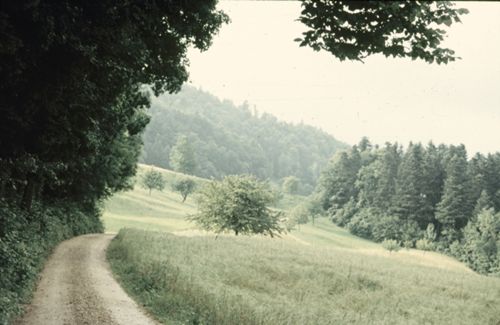 Fotografie, Weg zur Farnsburg