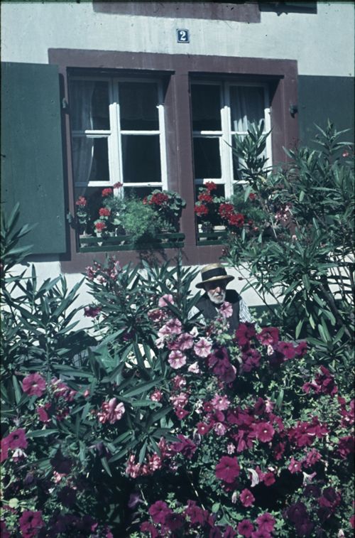 Fotografie, Muttenz, Oberdorf 2, Blumenpracht "uf em Bänkli"
