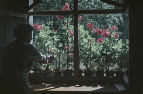 Fotografie, Eptingen, am Fenster