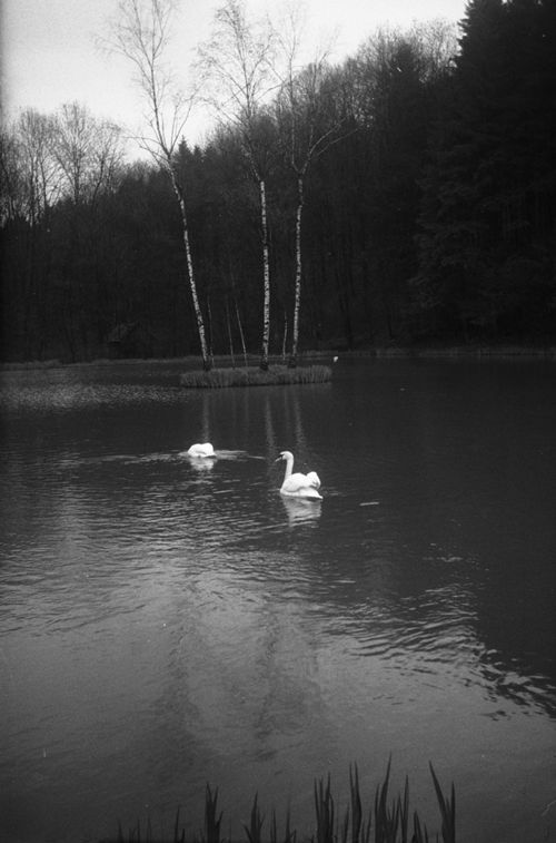 Fotografie, Liestal, Orisweiher