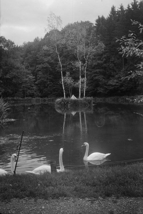 Fotografie, Liestal, Orisweiher