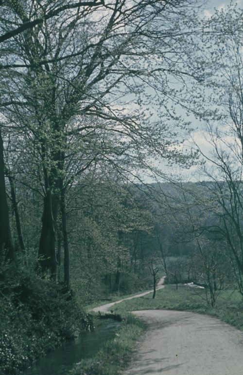 Fotografie, Liestal, Röserental