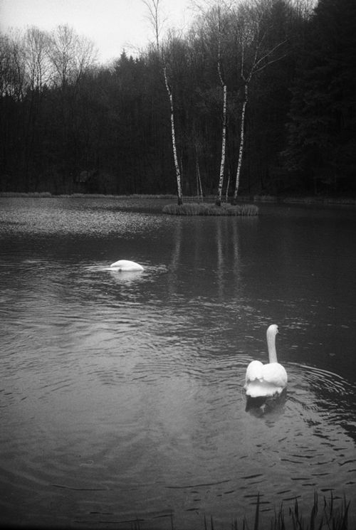 Fotografie, Liestal, Orisweiher