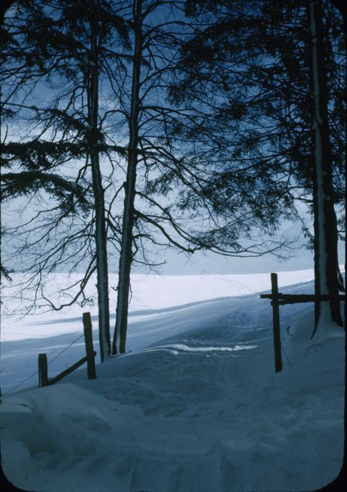 Fotografie, Waldenburg, Waldweide, Winterlandschaft