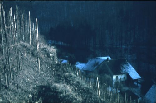Fotografie, Buus, Blick vom Rebberg hinunter