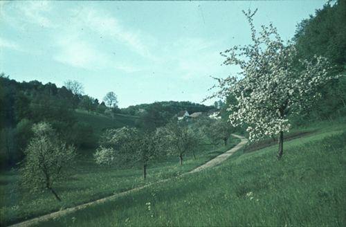 Fotografie, Bei Ramlinsburg