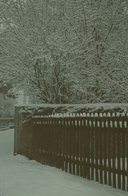 Fotografie, Liestal, Sonnenweg, Gartenzaun im Winter