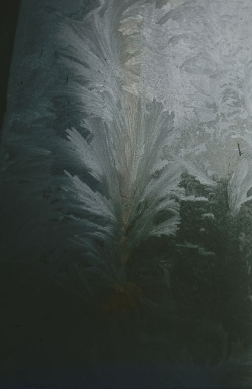 Fotografie, "Winterzauber", Eisblumen am Fenster