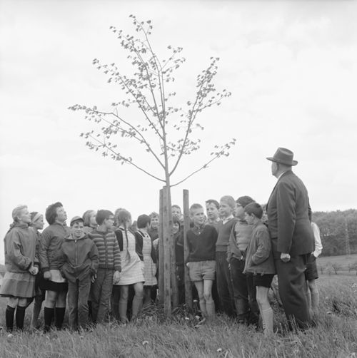 Fotografie, Liestal, Friedenslinde, Klasse C.A.Ewald