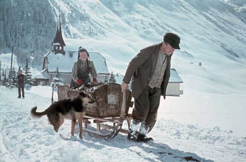 Fotografie, Schlitten, Arbeiten im Schnee