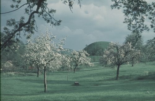 Fotografie, Zunzgen, Büchel