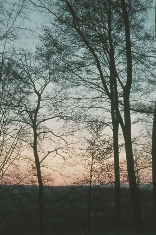 Fotografie, Dornach, Abendstimmung auf Dorneck