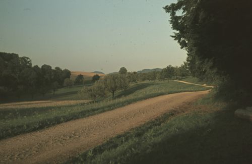 Fotografie, Kornfelder