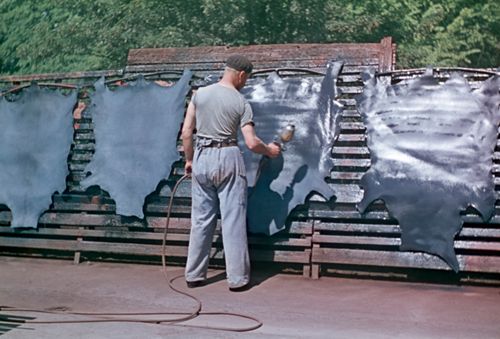 Fotografie, Berufsbild Gerber