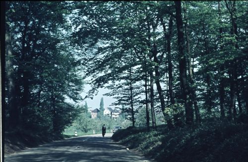 Fotografie, Muttenz, Rütihard, alte Landstrasse