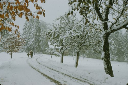 Fotografie, Feldweg bei Bauernhof im Winter