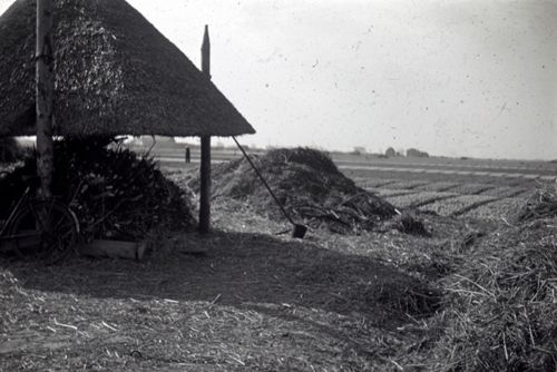 Fotografie, Bauernhof in den Niederlanden