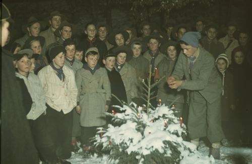 Fotografie, Liestal, Waldweihnacht der Pfadfinder