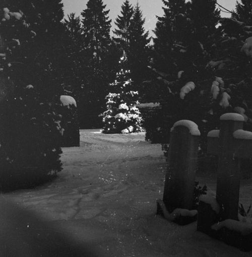 Fotografie, Liestal, Friedhof im Winter