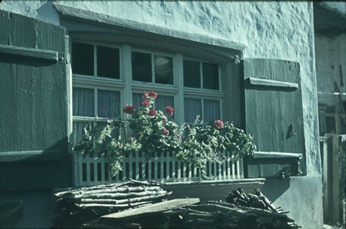 Fotografie, Reigoldswil, Blumenfenster
