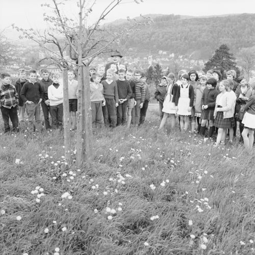 Fotografie, Liestal, Friedenslinde, Klasse C.A.Ewald