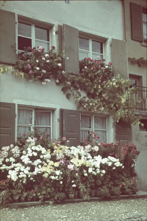 Fotografie, Ziefen, Blumenschmuck an Hauswand